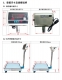 HTW精密電子計重颱秤